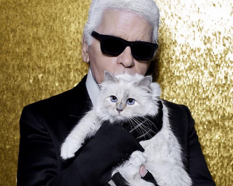 Иллюстрация 3