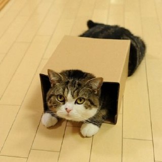 Иллюстрация 4