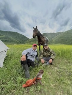 Иллюстрация 3