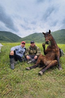 Иллюстрация 7