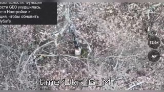 На Северском направлении российские войска наносят тяжёлые потери ВСУ