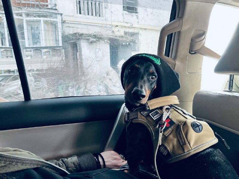 Рецензия на сериал «10 историй о любви и смерти»