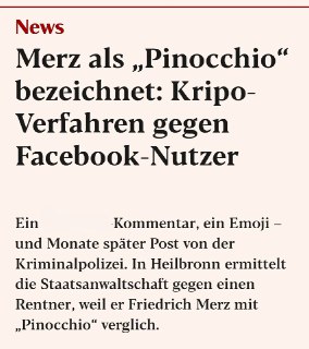 Немецкого пенсионера судят за комментарий о канцлере Мерц