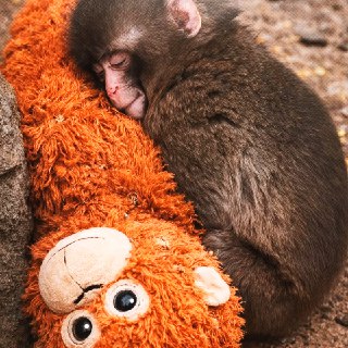 Иллюстрация 3