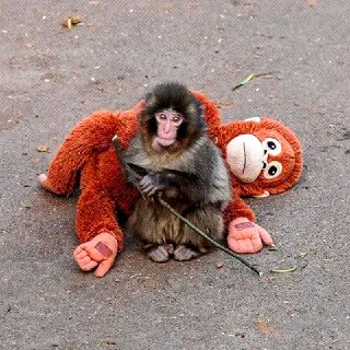 Иллюстрация 5