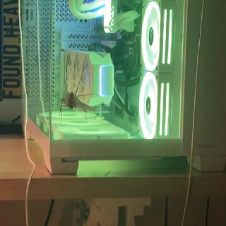 Паук-охотник завладел компьютером