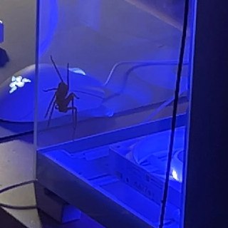 Иллюстрация 2