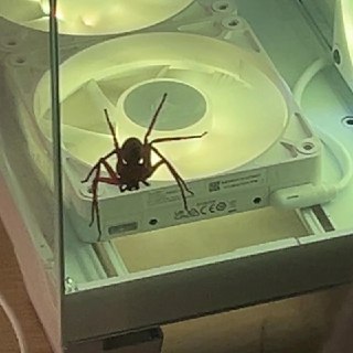 Иллюстрация 3