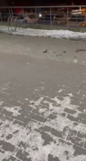 Иллюстрация 2