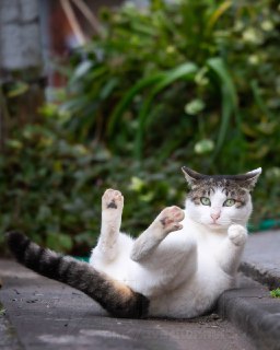 Иллюстрация 6