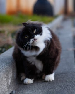 Иллюстрация 2