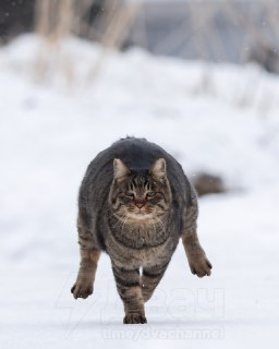 Иллюстрация 9