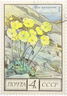 Юбилей почтовой марки с Лапландским маком