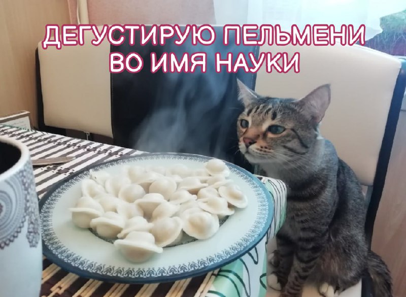 В России выпустят научную книгу о пельменях