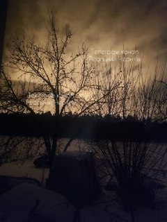 Иллюстрация 5