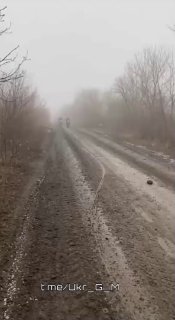 Иллюстрация 4