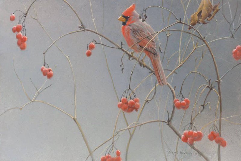 Роберт Бэйтман - канадский художник