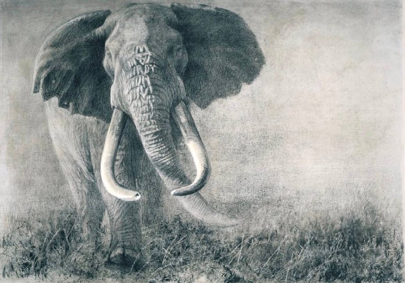 Иллюстрация 5