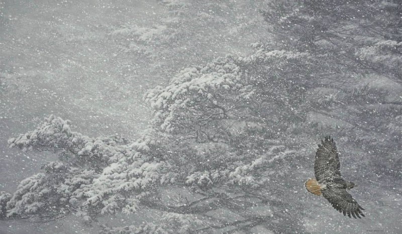 Иллюстрация 7