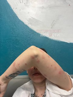 Иллюстрация 3