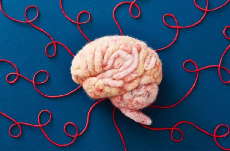 Мысли меняют мозг физически