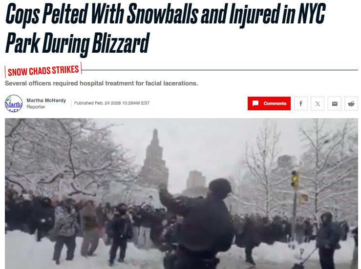 В Нью-Йорке объявлен розыск закидавших полицейских снежками
