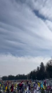 Иллюстрация 3