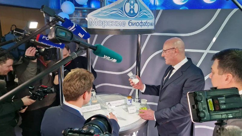 Иллюстрация 5