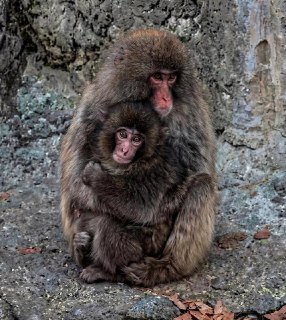 Иллюстрация 2