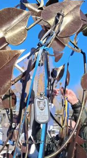 Иллюстрация 5