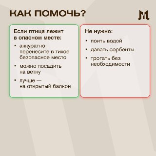 Иллюстрация 4