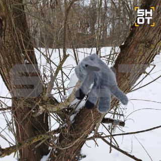 В Смоленске найдена перчатка пропавшей 9-летней девочки