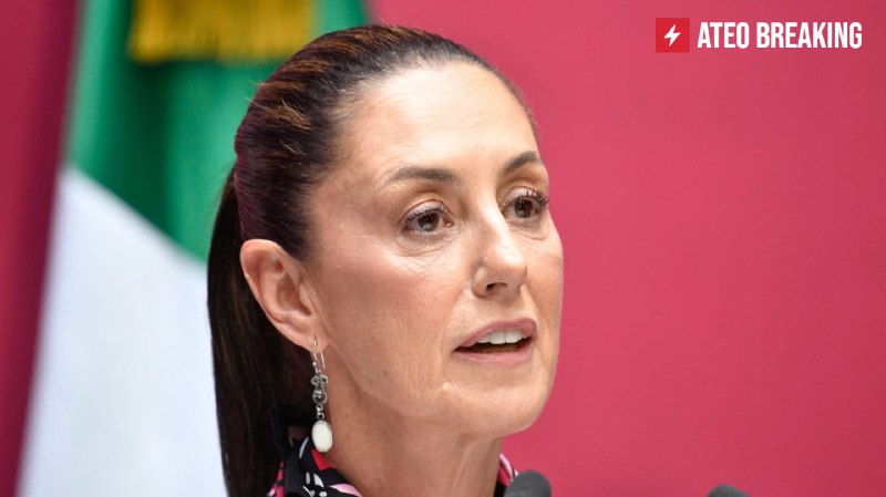 Мексика может подать в суд на Илона Маска