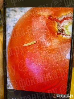 Иллюстрация 6