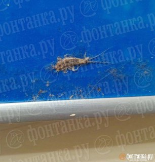 Иллюстрация 7