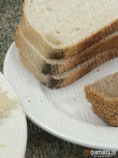 Иллюстрация 8