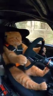 Дефицит ресурсов из-за бума ИИ