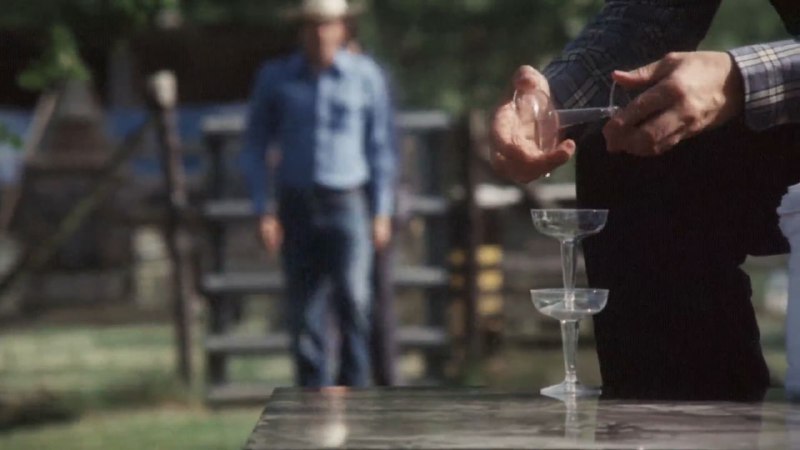 Обзор фильма «Бойцовский петух»