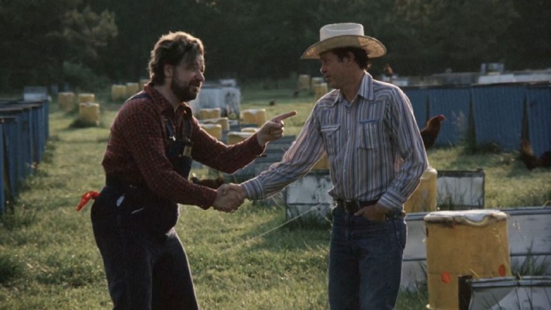 Иллюстрация 7