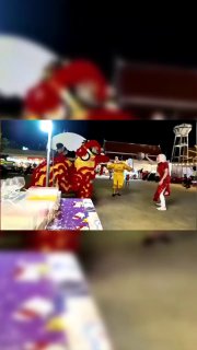 Полицейские Таиланда задержали вора в костюмах львов