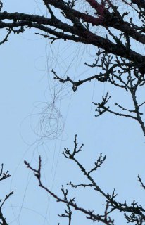 Иллюстрация 2