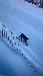 Иллюстрация 2