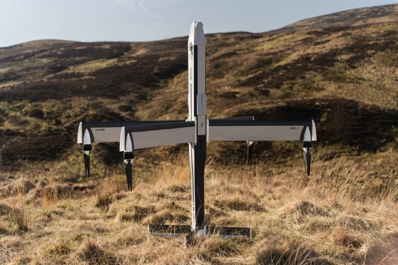 Иллюстрация 2