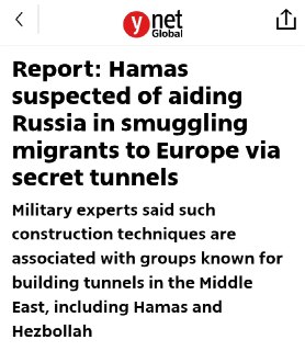 Иллюстрация 4