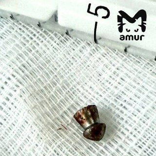 Иллюстрация 2