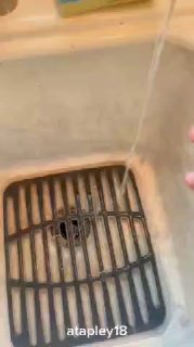 Сравнение продуктов в России и других странах