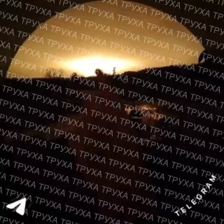 Иллюстрация 2