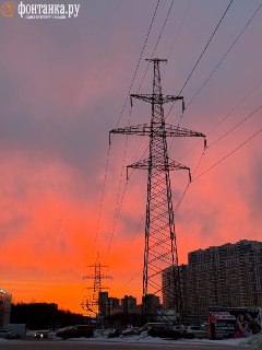 Иллюстрация 5