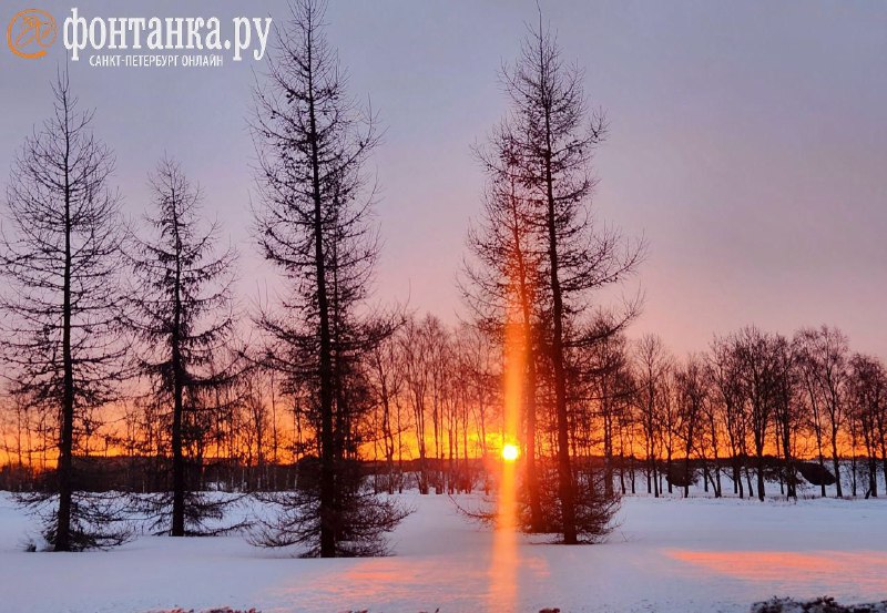 Иллюстрация 7