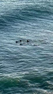 Иллюстрация 1